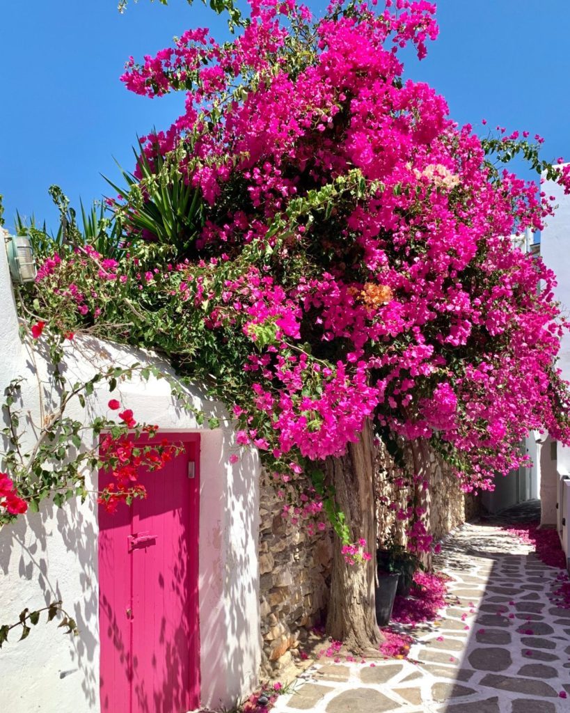 paros greece