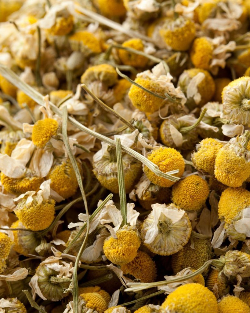 chamomile greek herb